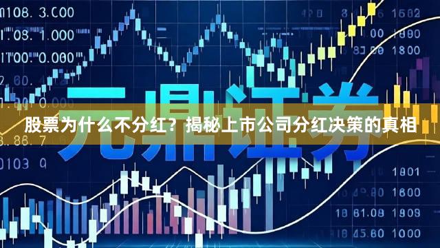 股票为什么不分红？揭秘上市公司分红决策的真相