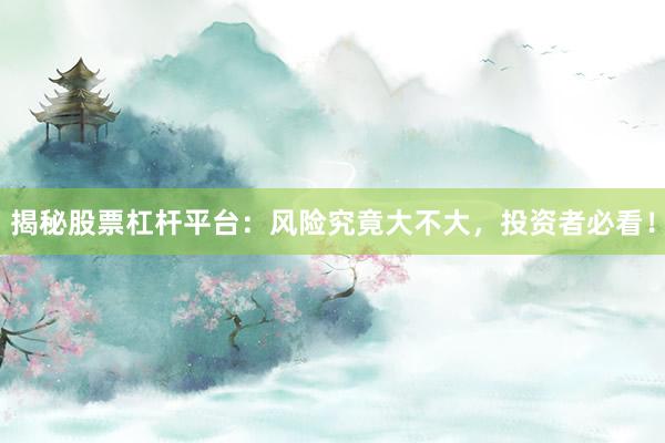 揭秘股票杠杆平台:风险究竟大不大,投资者必看!