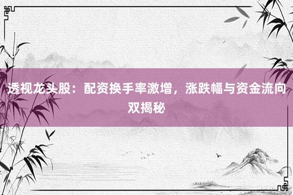 透视龙头股：配资换手率激增，涨跌幅与资金流向双揭秘