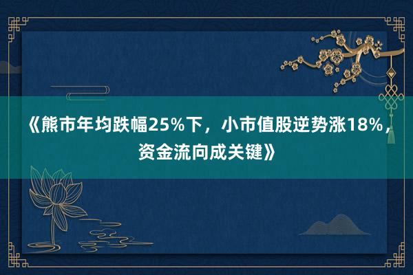 《熊市年均跌幅25%下，小市值股逆势涨18%，资金流向成关键》