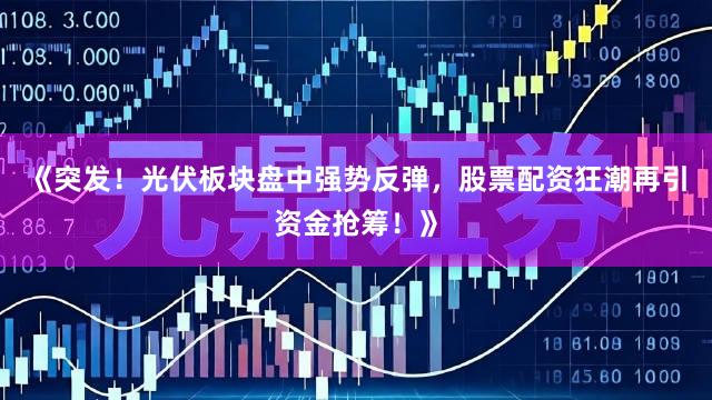 《突发！光伏板块盘中强势反弹，股票配资狂潮再引资金抢筹！》
