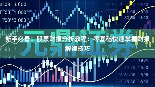 新手必看！股票财报分析教程：零基础快速掌握财报解读技巧