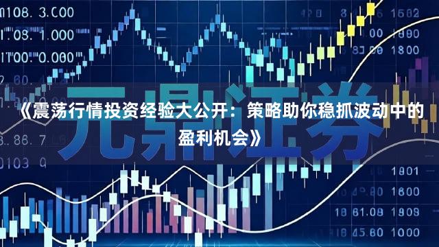 《震荡行情投资经验大公开：策略助你稳抓波动中的盈利机会》