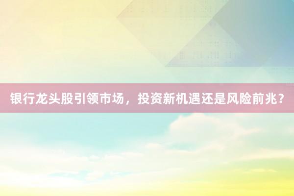 银行龙头股引领市场，投资新机遇还是风险前兆？