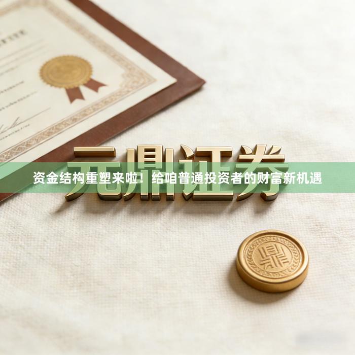 资金结构重塑来啦！给咱普通投资者的财富新机遇