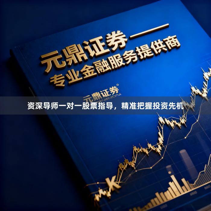 资深导师一对一股票指导，精准把握投资先机