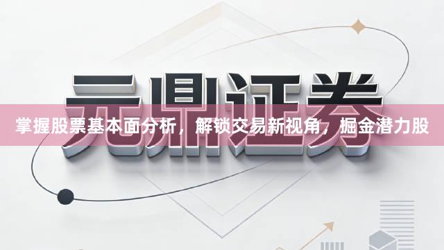 掌握股票基本面分析，解锁交易新视角，掘金潜力股