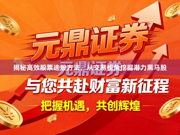 揭秘高效股票选股方法，从交易视角挖掘潜力黑马股