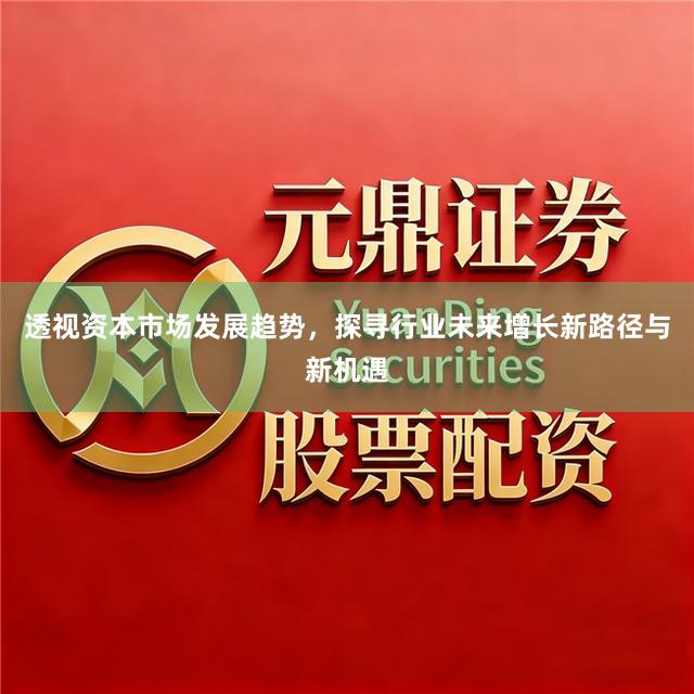 透视资本市场发展趋势，探寻行业未来增长新路径与新机遇