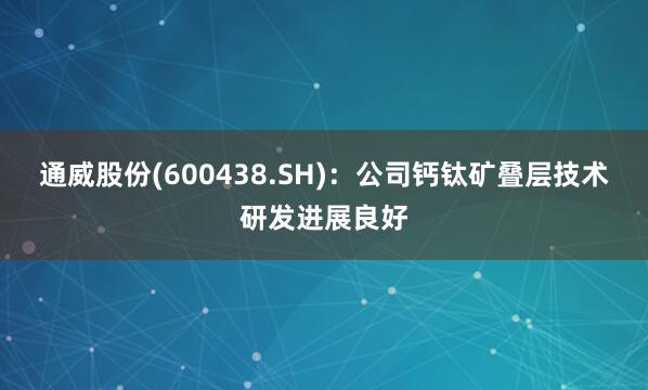 通威股份(600438.SH)：公司钙钛矿叠层技术研发进展良好