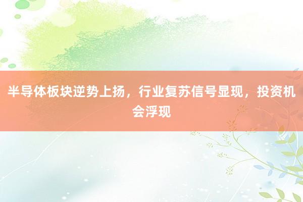 半导体板块逆势上扬，行业复苏信号显现，投资机会浮现