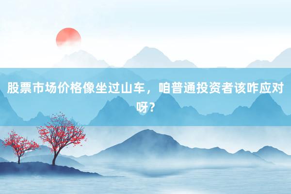 股票市场价格像坐过山车，咱普通投资者该咋应对呀？