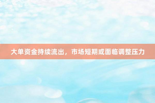 大单资金持续流出，市场短期或面临调整压力